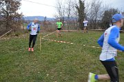 DSC_0106 DSC_0106